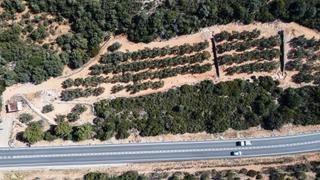 Masia a T-331 9. Oportunidad de tierra con olivos, pozo y casa en el encantador f