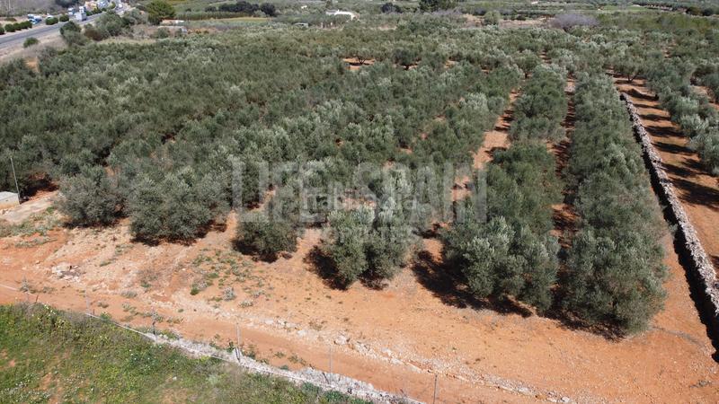 Foto 12b4b304-4e51-4f65-beb0-40ebd9a8424d. Propriété dans n/a dans Freginals