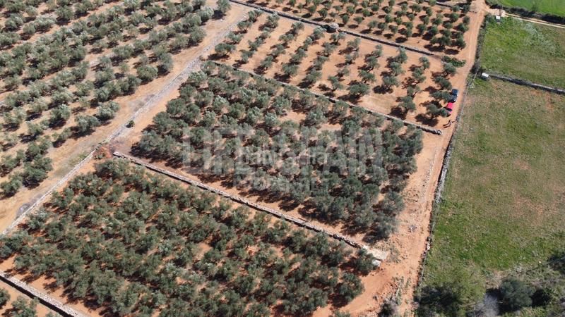 Foto 35da0c53-e618-4cc2-871a-676b6ee97112. Propriété dans n/a dans Freginals