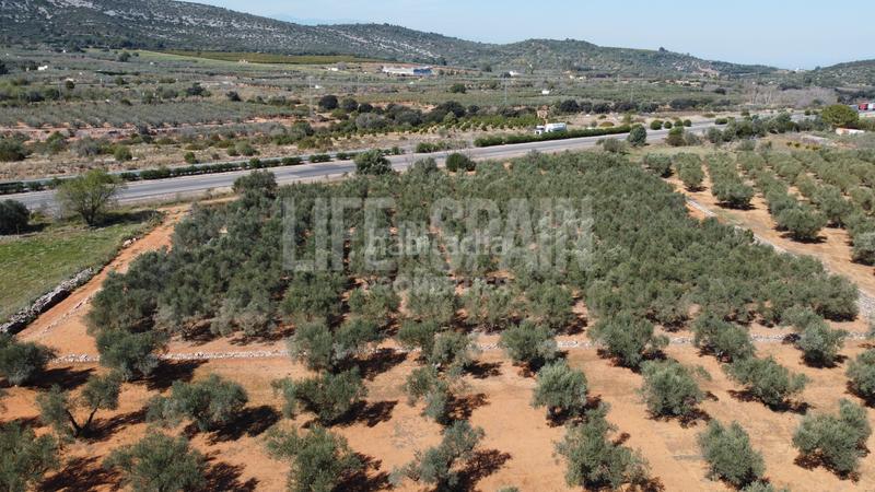 Foto 38ec4512-8288-40aa-9e8a-06d35e7a6f1b. Propriété dans n/a dans Freginals