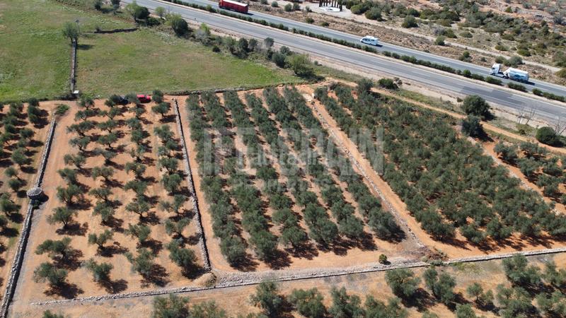 Foto 3b69f1be-d7b4-4d9a-ac19-fedb1302d096. Propriété dans n/a dans Freginals