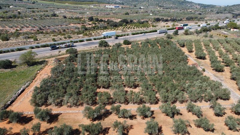 Foto 6c04ae4f-66b1-4904-ba23-46b4b047fe35. Propriété dans n/a dans Freginals