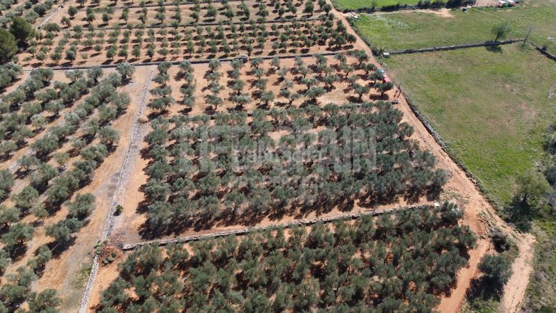 Foto 790d03ad-b53f-4ab6-8f20-13a61119dd6e. Propriété dans n/a dans Freginals