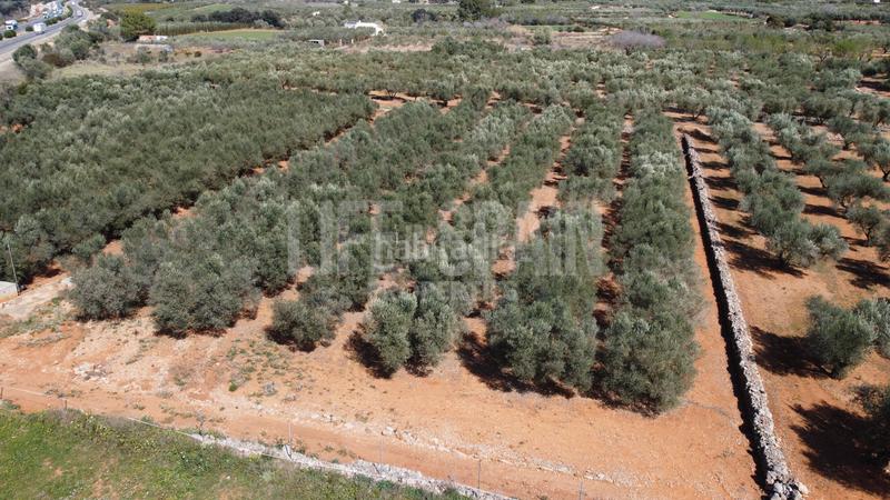 Foto 7a382589-7cf3-4e56-b781-eff2968cd26a. Propriété dans n/a dans Freginals