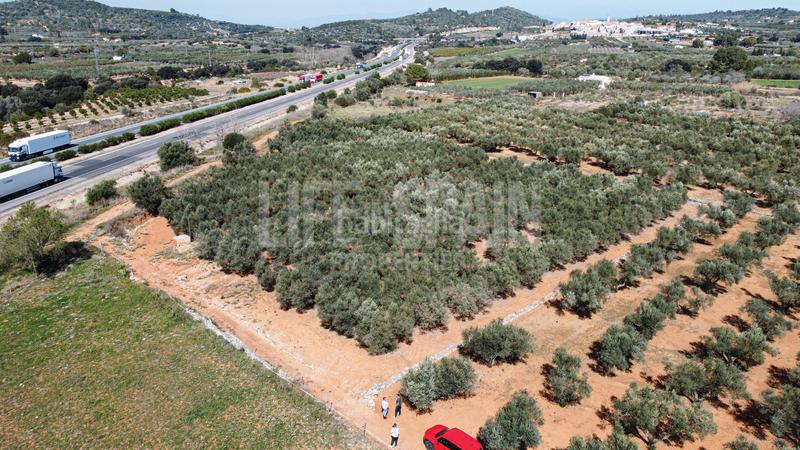 Foto 8d293454-dfe0-40f5-94e1-c42124f2d061. Propriété dans n/a dans Freginals