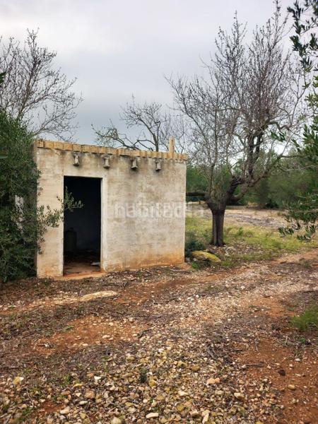 Foto 8824d7be-c9e7-49f7-ba45-6e5c989a8cc9. Landgut in Grau - Quintanes Amposta