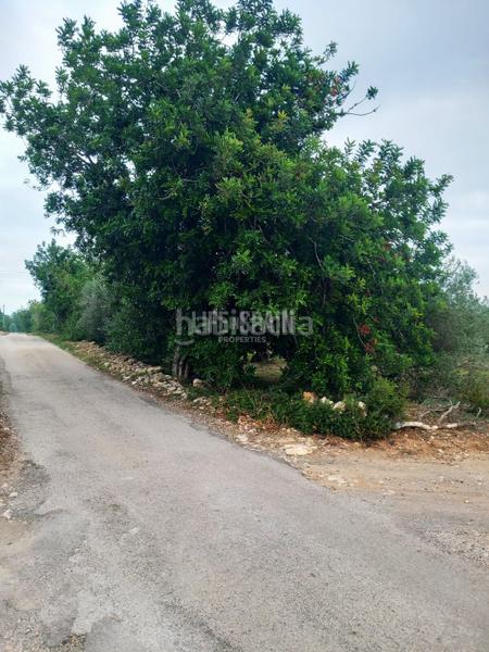 Foto 8d662534-60a7-4c6c-a7e3-7a354cc47541. Landgut in Grau - Quintanes Amposta