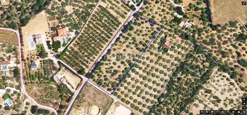 Foto b19af924-6e16-40fd-bf28-fd65c289166c. Landgut in Grau - Quintanes Amposta