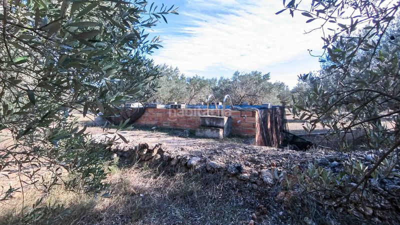 Foto 0d80055a-e6ac-42de-bffb-12addb48408b. Masia a n/a a Roquetes