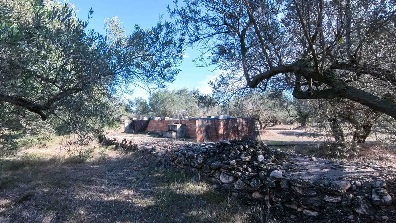 Foto 4a024a78-06dd-4601-8e57-4271b83d37eb. Masia a n/a a Roquetes
