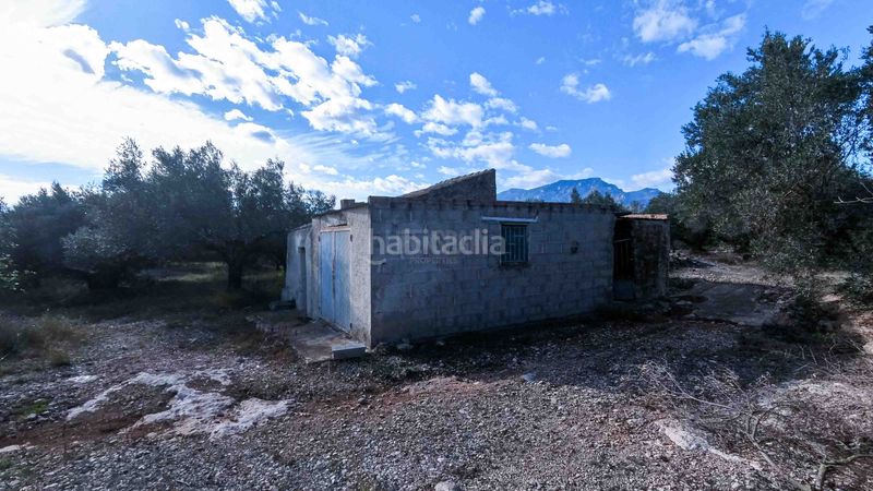 Foto 927730ee-2375-475c-a748-1cea17d4736b. Masia a n/a a Roquetes