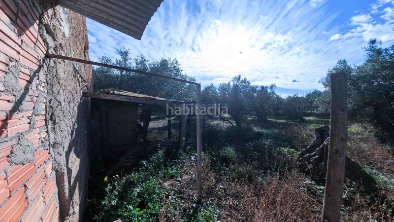 Foto b539e700-4c19-4f21-ae17-dccd8ef31b7c. Masia a n/a a Roquetes