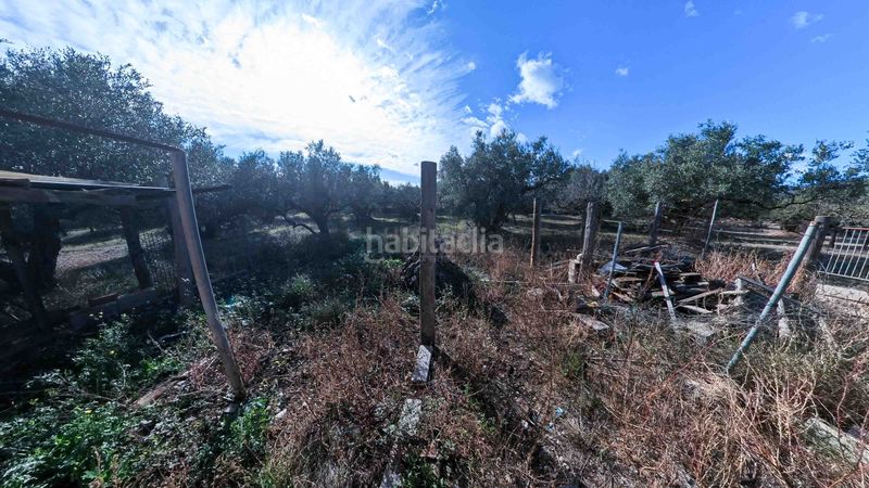 Foto ca749bca-5a89-4476-808e-2595e87bfd7c. Masia a n/a a Roquetes