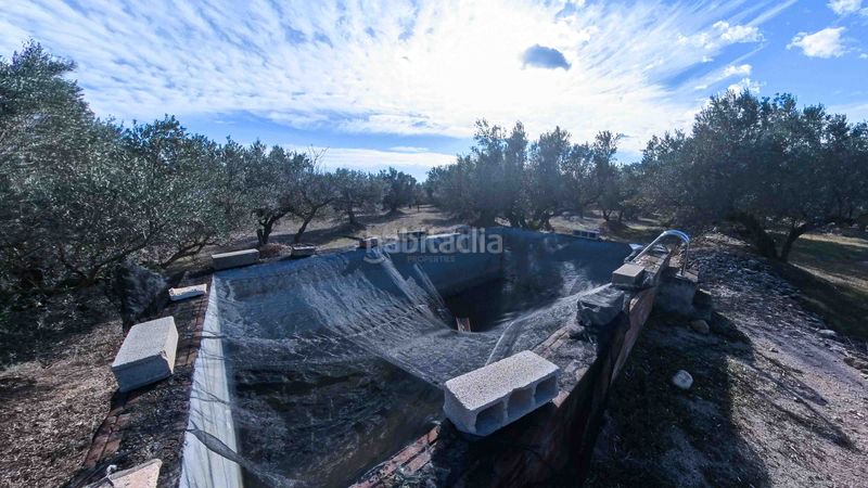 Foto dddf917d-2d6e-49b5-b652-688c613231b8. Masia a n/a a Roquetes