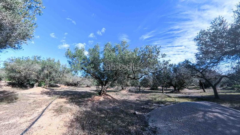 Foto f43e6af9-ca43-4da6-beff-a72894e276b9. Masia a n/a a Roquetes