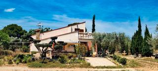 Masia a Aldea (L´). Finca rustica lista para vivir