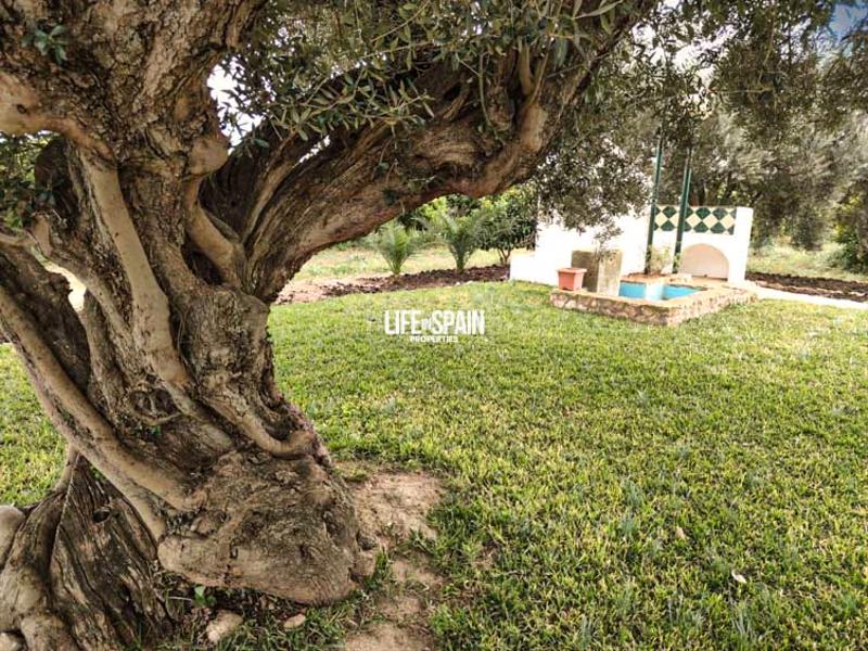 Foto 08ab3d61-c6f6-4af0-a0b0-196322c290b6. Country house in Vinallop Tortosa