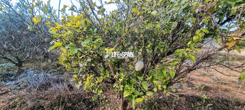 Foto 288f2324-d7ea-472b-9995-3fc1b4b8c588. Country house in Vinallop Tortosa