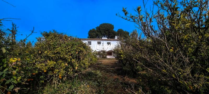 Foto 764456a3-abe4-4037-adb4-1fc1c7a7bea3. Country house in Vinallop Tortosa