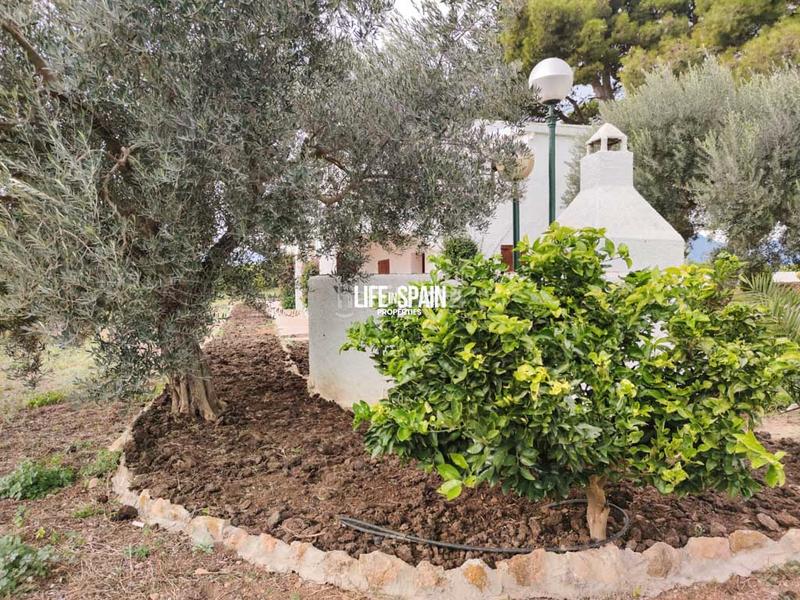 Foto 92309a30-d2c4-4bd0-9a26-d24b20a19af8. Country house in Vinallop Tortosa