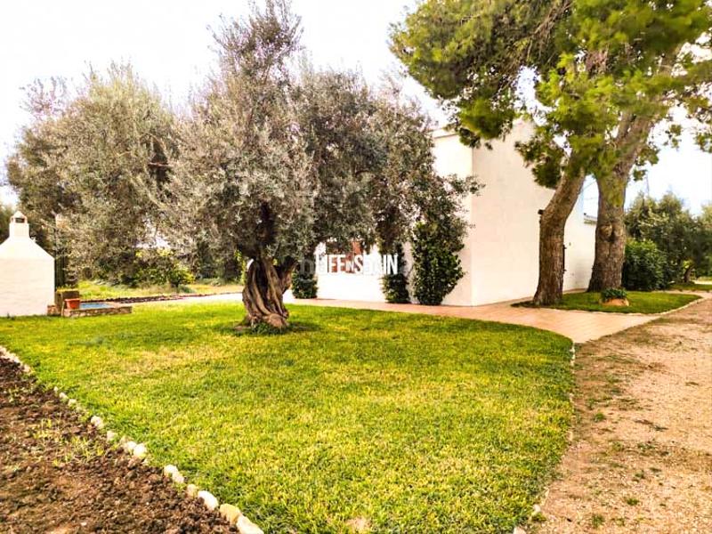 Foto b95dfc46-d533-4b14-b076-8c754183a8ef. Country house in Vinallop Tortosa