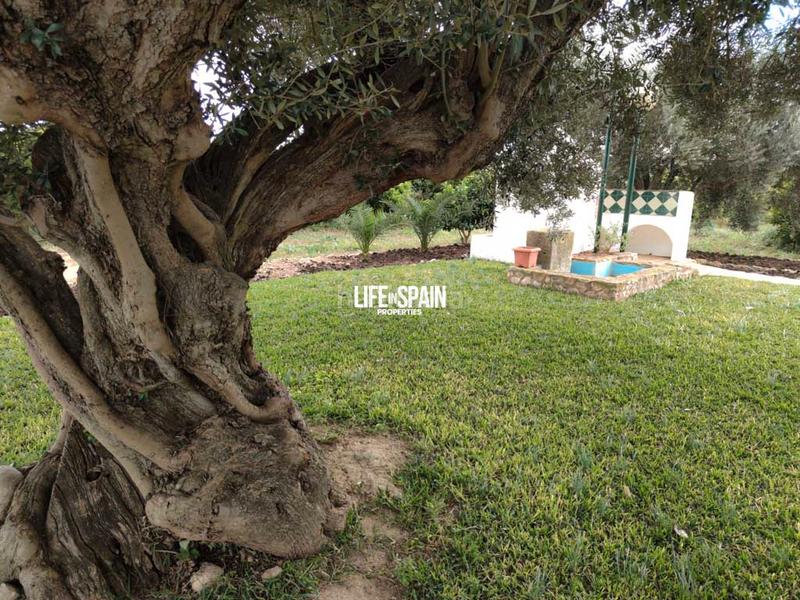 Foto dde251f5-c4bc-40e9-9ebc-afa228b7cfdd. Country house in Vinallop Tortosa