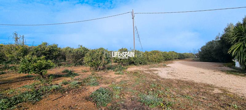 Foto e23c14d5-5c8f-46de-8841-0b04a3ed42db. Country house in Vinallop Tortosa
