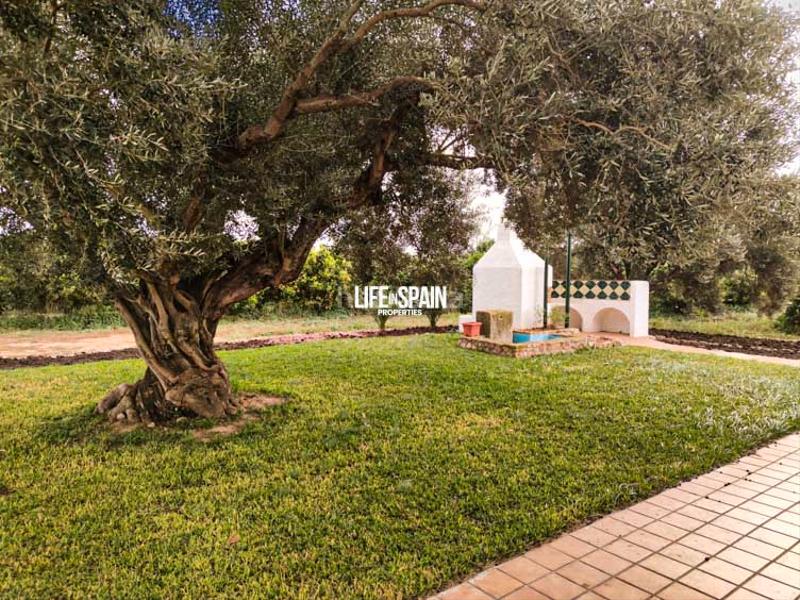 Foto e543cd9a-02fa-4aec-aecf-d9a102c13d6e. Country house in Vinallop Tortosa