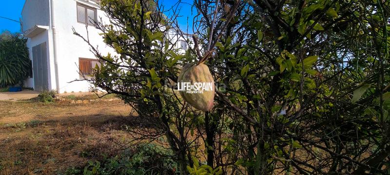 Foto fe99850e-776a-4458-bd93-1a01a7326d16. Country house in Vinallop Tortosa