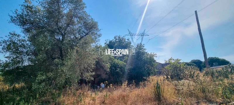 Foto a502d859-1935-43fd-bf74-9040d8c0379e. Country house with parking in Galera (La)