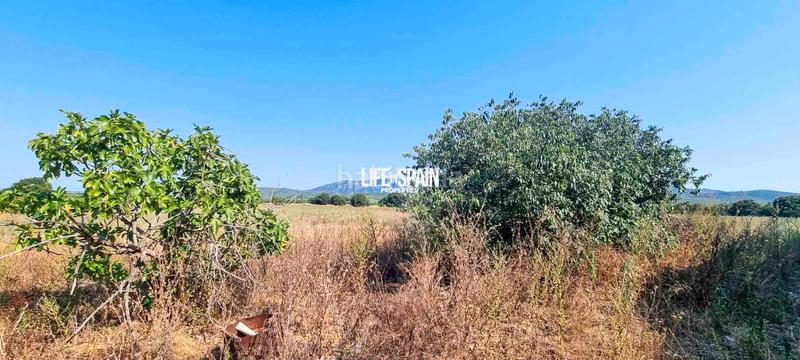 Foto af695b5d-1972-44d6-92ad-11ae8bdae4b3. Country house with parking in Galera (La)