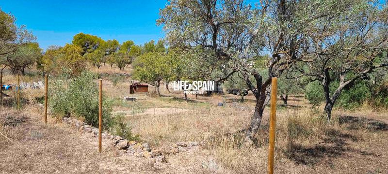 Foto 4a4522e0-6113-4411-818d-73d2290837df. Chalet in n/a in Ginestar