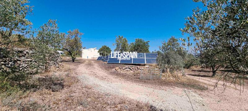 Foto db85a94f-bf58-4c38-81fe-26bf7557a134. Chalet in n/a in Ginestar