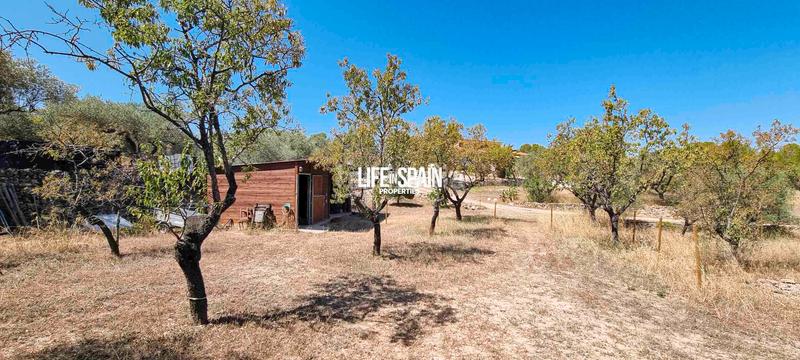 Foto e01dc7a2-c1b4-42d1-86f2-6f2537eaa494. Chalet in n/a in Ginestar