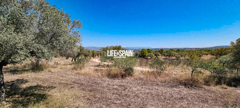 Foto e2a065af-0478-46da-a983-748518f04db5. Chalet in n/a in Ginestar