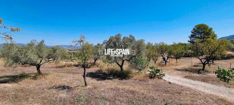 Foto fdd104f9-4ee1-4f0b-9c0e-a29db5c25ff0. Chalet in n/a in Ginestar