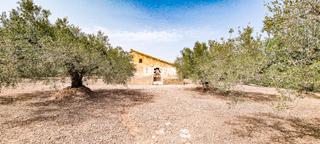 Mas à Ampolla (L´). Finca les clotes – l’ampolla tu refugio tranquilo en el corazón
