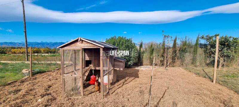 Foto 428764de-d77e-48fa-896e-0b3b8c8a0638. Mas avec cheminée chauffage dans Grau - Quintanes Amposta