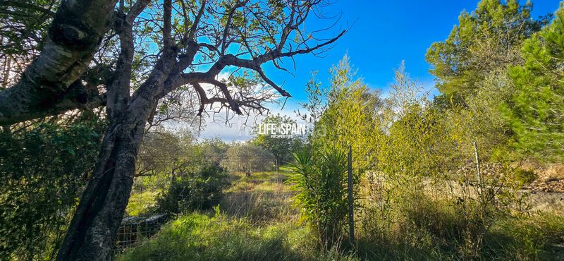 Foto 0bbd5cdc-a83a-4351-b99d-7d049af5ccaa. Masia a n/a a Ulldecona