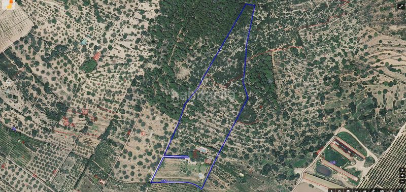 Foto 2691d389-b433-427d-bbef-0d48312391ea. Masia a n/a a Ulldecona