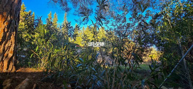 Foto 2835afc0-7db0-4bb0-b9f3-76ec046f333e. Masia a n/a a Ulldecona