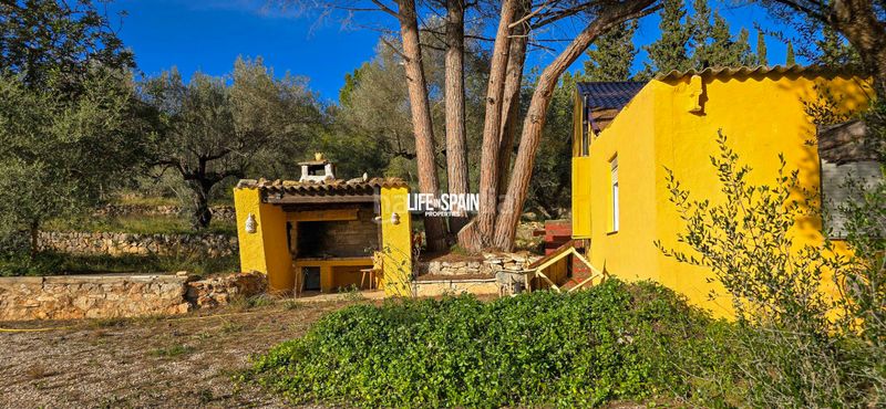 Foto 3b7cefd2-8700-499e-b6f0-090aed20c5a6. Masia a n/a a Ulldecona