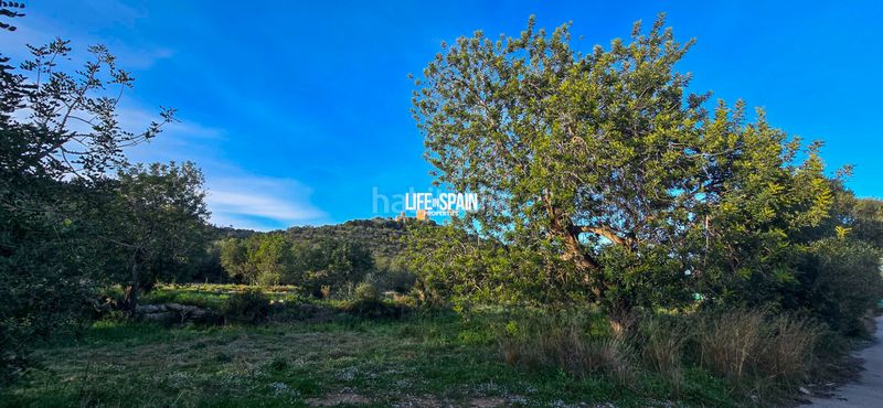 Foto 43a0a94c-5a95-41ed-96a7-6b578a03e999. Masia a n/a a Ulldecona