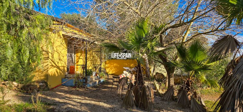 Foto 81f5368c-b109-45f1-a797-cb6b758ea490. Masia a n/a a Ulldecona