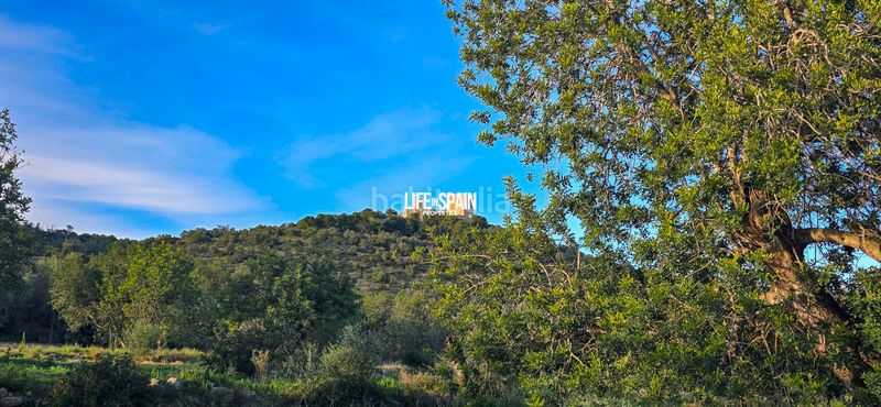 Foto 89ddc186-00f9-40c7-9d64-953c7c4315da. Masia a n/a a Ulldecona