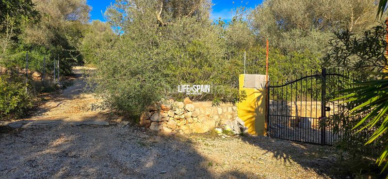 Foto b2cd5004-2065-4cf1-a510-a43a56adba0e. Masia a n/a a Ulldecona