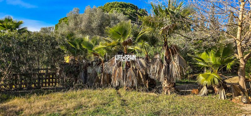 Foto bd41edfa-9cbe-4eb3-a924-66055fb17f23. Masia a n/a a Ulldecona