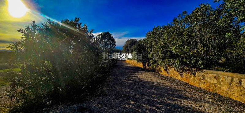 Foto d321a986-80c3-4c91-892c-2120d88d1ba0. Masia a n/a a Ulldecona