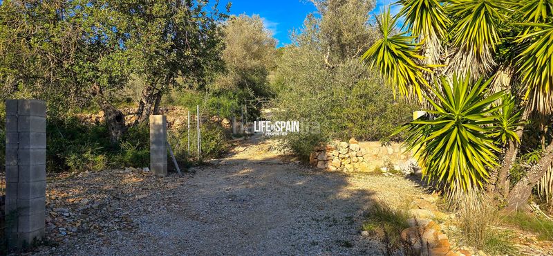 Foto d4da297b-3a8a-4781-890d-705faffe9881. Masia a n/a a Ulldecona