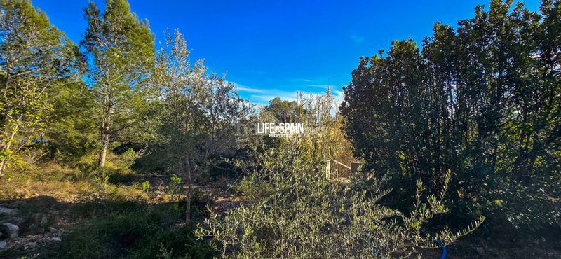 Foto e4eda8e5-b007-4e47-a73b-c09fbb31f477. Masia a n/a a Ulldecona